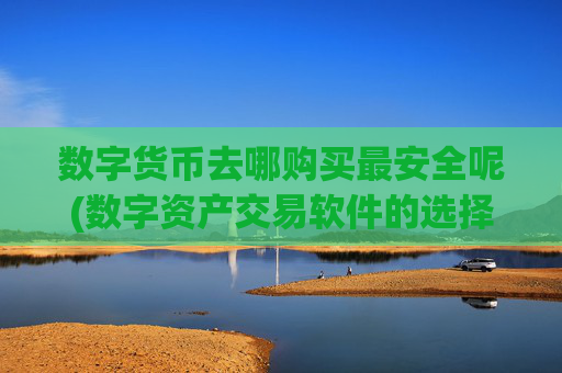 数字货币去哪购买最安全呢(数字资产交易软件的选择)