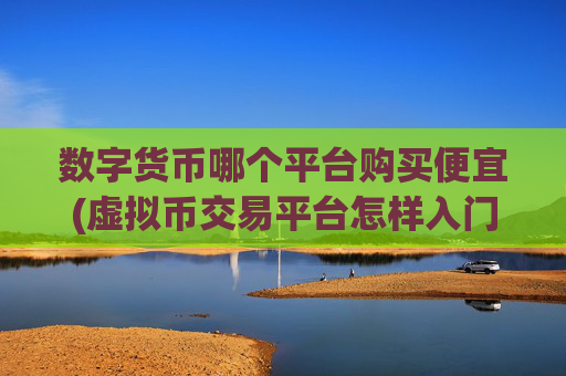 数字货币哪个平台购买便宜(虚拟币交易平台怎样入门)