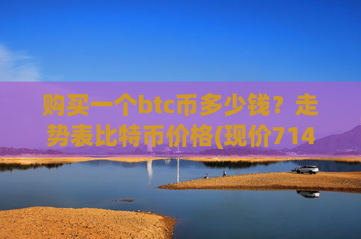 购买一个btc币多少钱?走势表比特币价格(现价714177.58元)