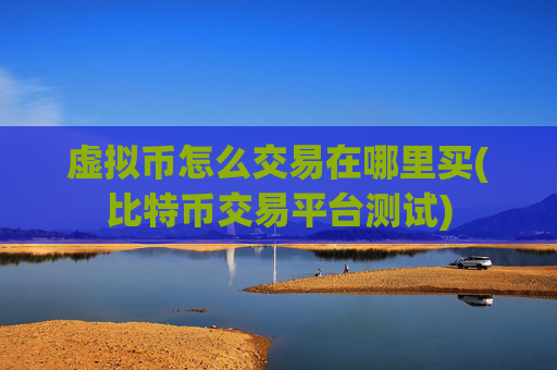 虚拟币怎么交易在哪里买(比特币交易平台测试)