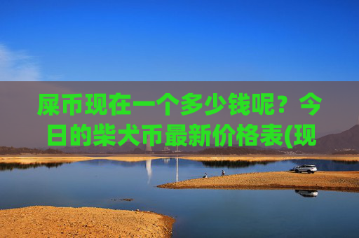 屎币现在一个多少钱呢?今日的柴犬币最新价格表(现价0.00022365元)