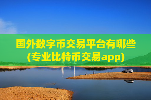 国外数字币交易平台有哪些(专业比特币交易app)