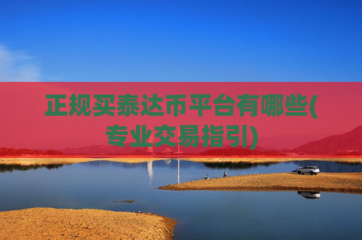 正规买泰达币平台有哪些(专业交易指引)