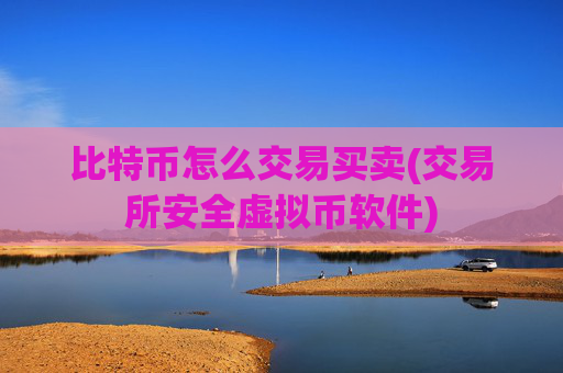 比特币怎么交易买卖(交易所安全虚拟币软件)