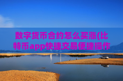 数字货币合约怎么买涨(比特币app快捷交易便捷操作)
