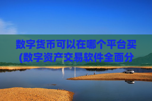 数字货币可以在哪个平台买(数字资产交易软件全面分析)