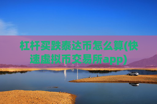 杠杆买跌泰达币怎么算(快速虚拟币交易所app)