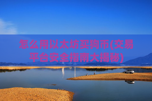 怎么用以太坊买狗币(交易平台安全指南大揭秘)