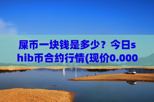 屎币一块钱是多少?今日shib币合约行情(现价0.00022454元)