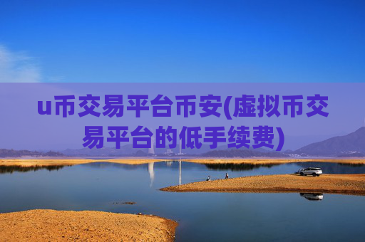 u币交易平台币安(虚拟币交易平台的低手续费)