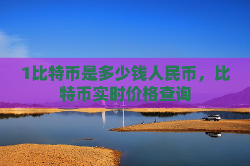 1比特币是多少钱人民币,比特币实时价格查询