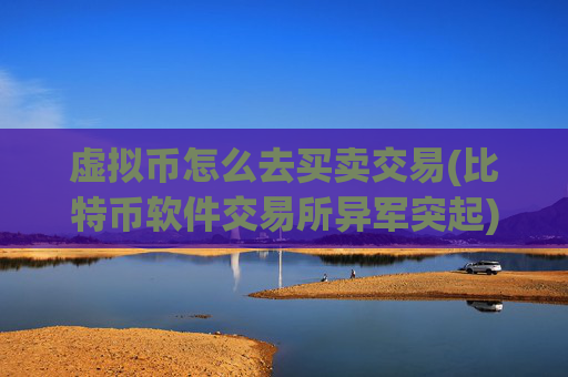 虚拟币怎么去买卖交易(比特币软件交易所异军突起)