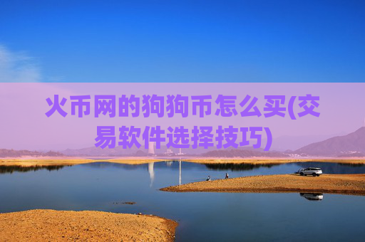 火币网的狗狗币怎么买(交易软件选择技巧)