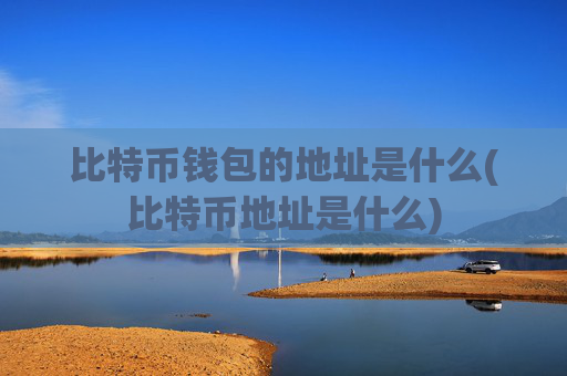 比特币钱包的地址是什么(比特币地址是什么)