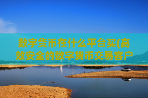 数字货币在什么平台买(高效安全的数字货币交易客户端)