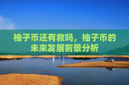 柚子币还有救吗，柚子币的未来发展前景分析