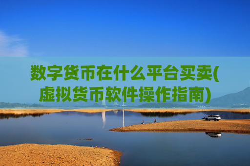 数字货币在什么平台买卖(虚拟货币软件操作指南)