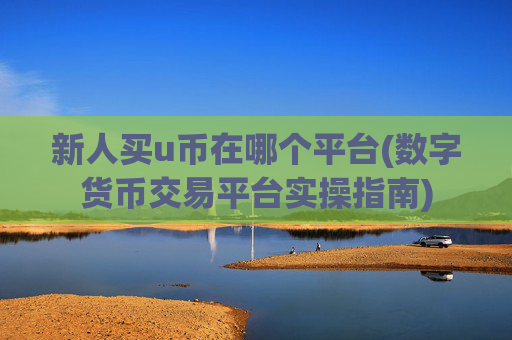 新人买u币在哪个平台(数字货币交易平台实操指南)