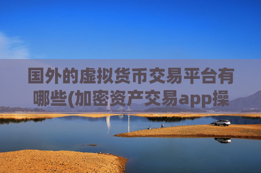 国外的虚拟货币交易平台有哪些(加密资产交易app操作指南)