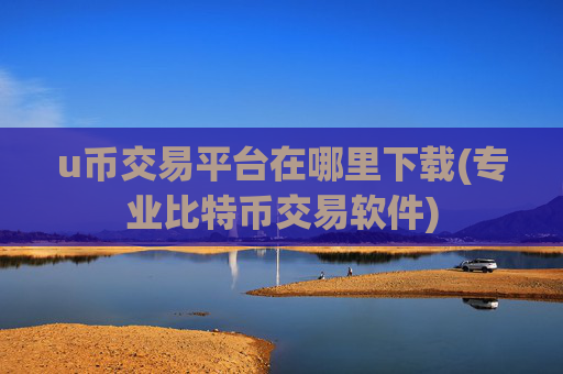 u币交易平台在哪里下载(专业比特币交易软件)