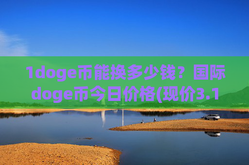 1doge币能换多少钱?国际doge币今日价格(现价3.1167元)