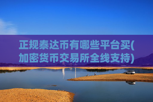 正规泰达币有哪些平台买(加密货币交易所全线支持)