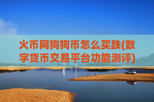 火币网狗狗币怎么买跌(数字货币交易平台功能测评)