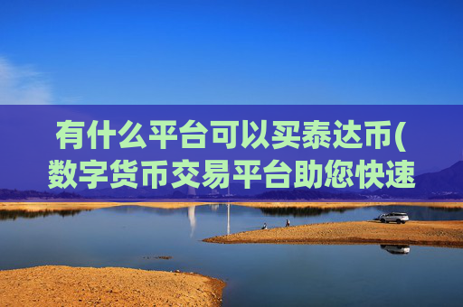 有什么平台可以买泰达币(数字货币交易平台助您快速交易)
