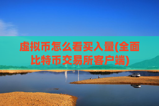 虚拟币怎么看买入量(全面比特币交易所客户端)