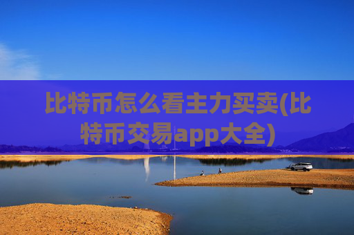 比特币怎么看主力买卖(比特币交易app大全)