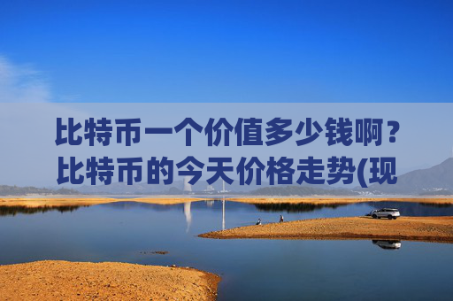 比特币一个价值多少钱啊？比特币的今天价格走势(现价716291.81元)