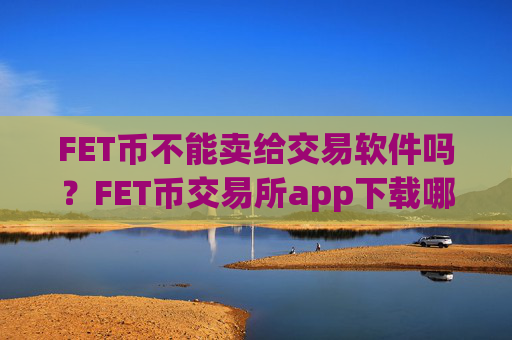 FET币不能卖给交易软件吗？FET币交易所app下载哪个手续费低