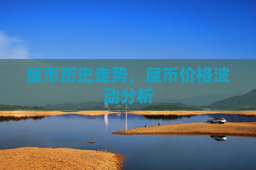 屎币历史走势，屎币价格波动分析