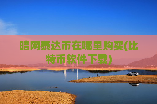 暗网泰达币在哪里购买(比特币软件下载)
