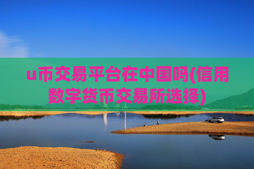 u币交易平台在中国吗(信用数字货币交易所选择)