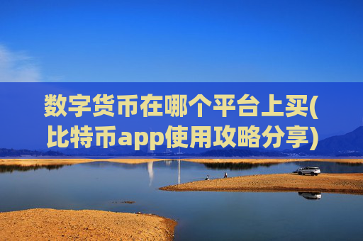 数字货币在哪个平台上买(比特币app使用攻略分享)