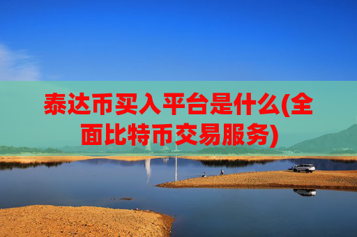 泰达币买入平台是什么(全面比特币交易服务)