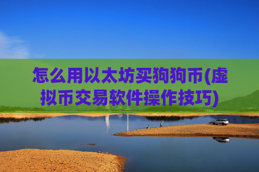 怎么用以太坊买狗狗币(虚拟币交易软件操作技巧)