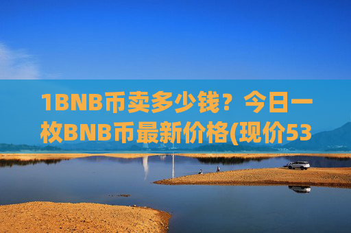 1BNB币卖多少钱?今日一枚BNB币最新价格(现价5334.71元)