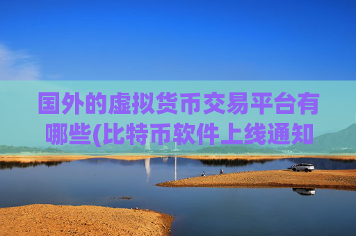 国外的虚拟货币交易平台有哪些(比特币软件上线通知)