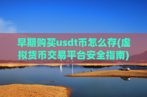 早期购买usdt币怎么存(虚拟货币交易平台安全指南)
