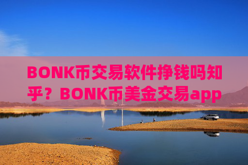 BONK币交易软件挣钱吗知乎?BONK币美金交易app下载