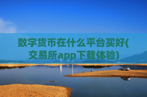 数字货币在什么平台买好(交易所app下载体验)