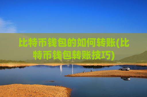 比特币钱包的如何转账(比特币钱包转账技巧)
