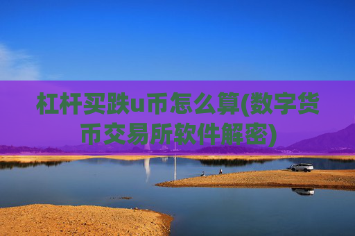 杠杆买跌u币怎么算(数字货币交易所软件解密)