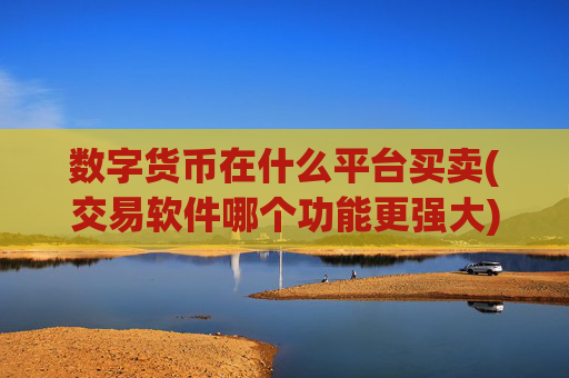 数字货币在什么平台买卖(交易软件哪个功能更强大)
