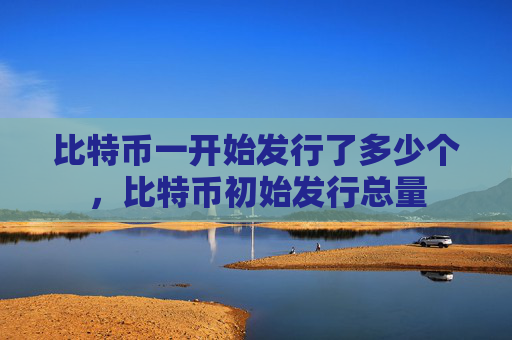比特币一开始发行了多少个，比特币初始发行总量