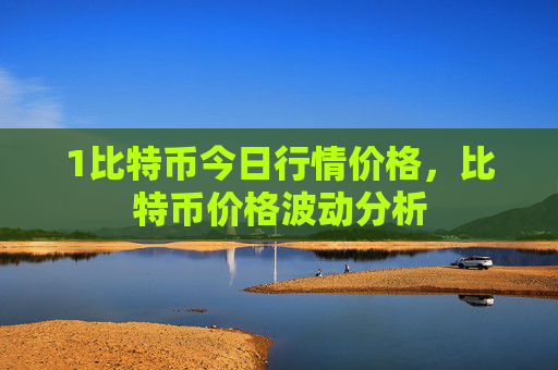 1比特币今日行情价格,比特币价格波动分析