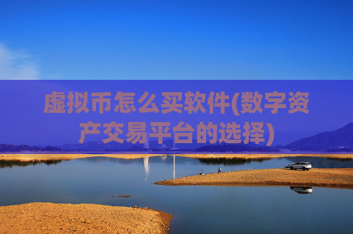 虚拟币怎么买软件(数字资产交易平台的选择)