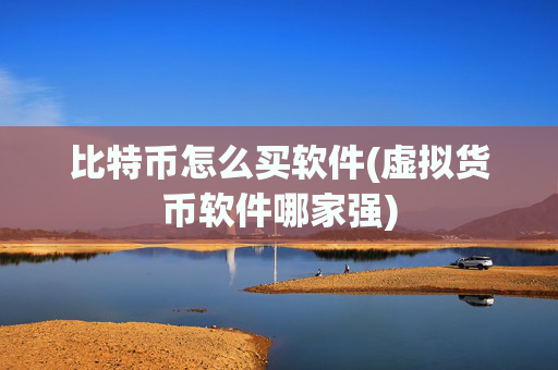 比特币怎么买软件(虚拟货币软件哪家强)